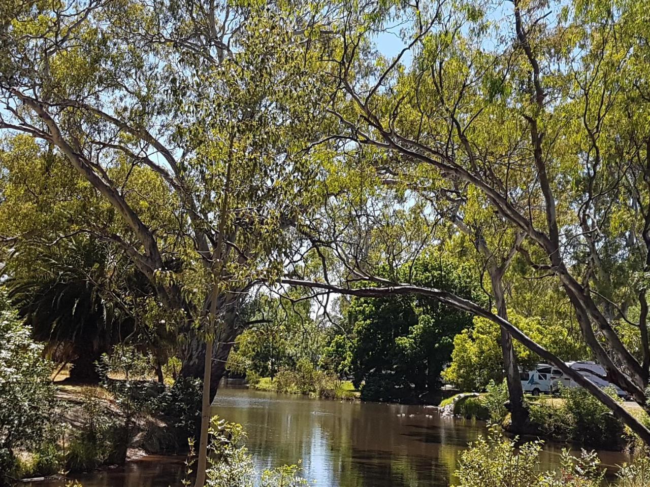 Euroa Caravan Park Hotel Exterior photo